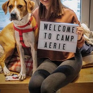 Aerie Chill Play Move Grey Leggings